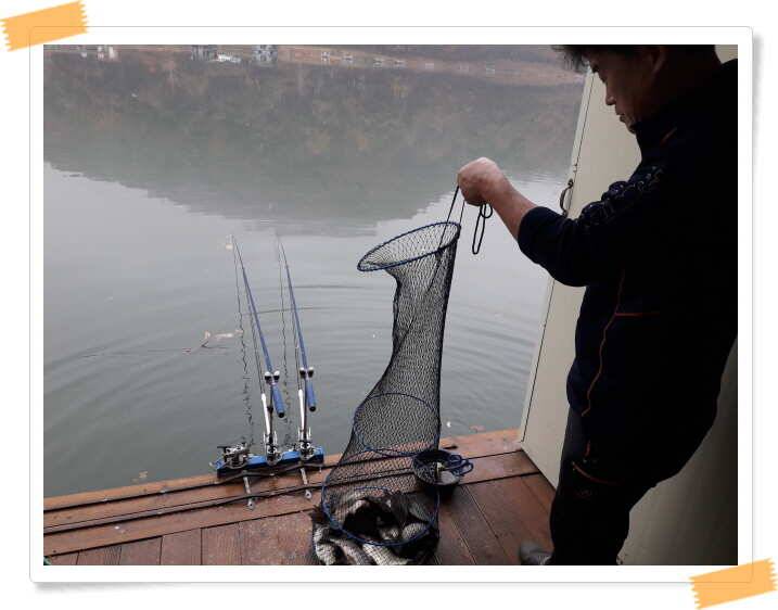 fish_pay_6c4c9_021339_16899.jpg
