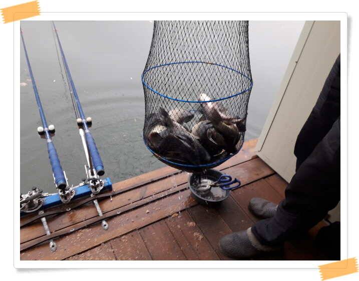fish_pay_6dbaf_021347_60212.jpg