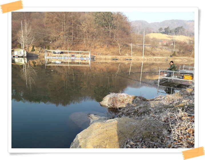 양평 수곡낚시터 주중조황 중상류권에서도 입질이 좋아집니다 (유료터정보 - 유료터점주조황)