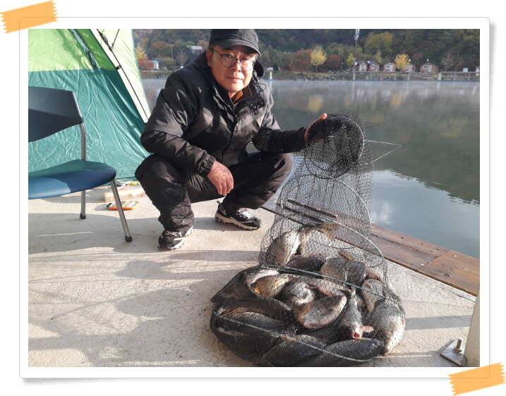 양평 수곡낚시터 주말 및 일요일 조황 안내 (유료터정보 - 유료터점주조황)