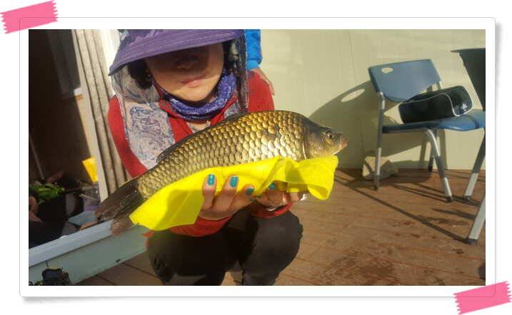 fish_pay_72416_121731_83236.jpg