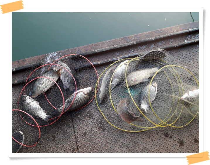 fish_pay_79b9f_021428_80901.jpg