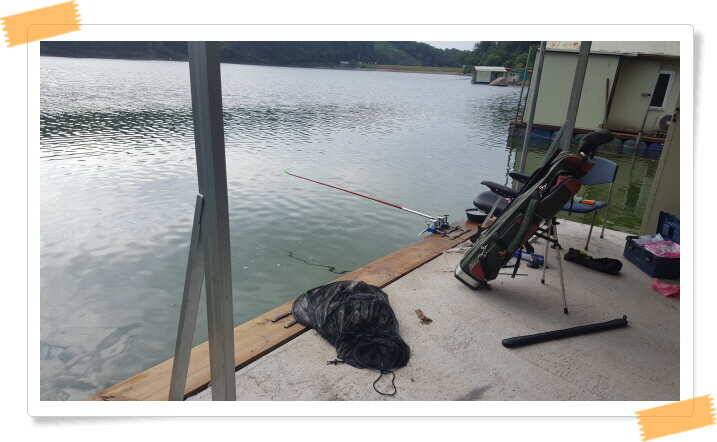 fish_pay_80d15_121027_89556.jpg