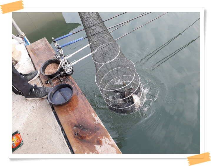fish_pay_8256e_021422_48970.jpg
