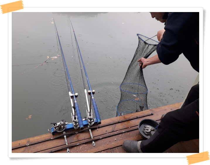 fish_pay_8b290_021357_22935.jpg