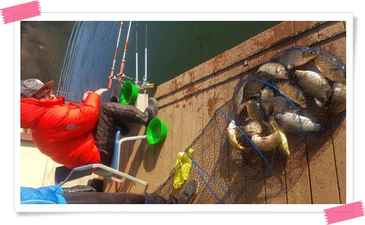 fish_pay_8cdbe_121700_26057.jpg