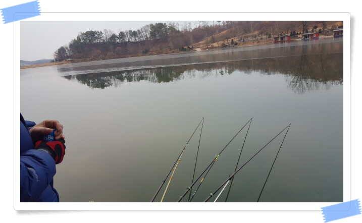 양평 수곡낚시터 주중조황 좋아지고 있으며 노지잔교 물낚시 가능합니다 (유료터정보 - 유료터점주조황)