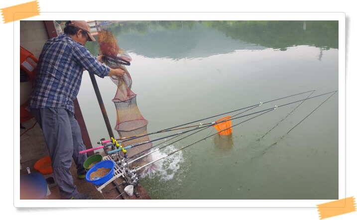 fish_pay_9bd5f_120959_84845.jpg