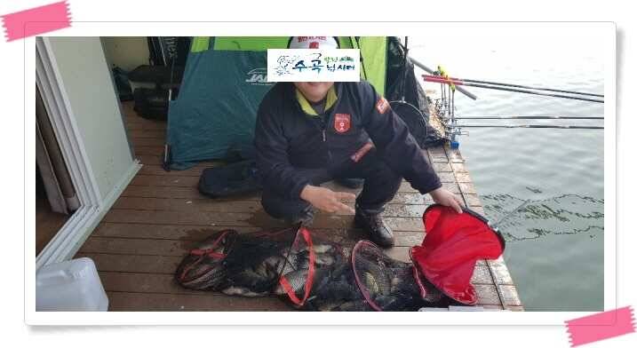 양평 수곡낚시터 붕어 102수의 조황이 나왔네요 (유료터정보 - 유료터점주조황)