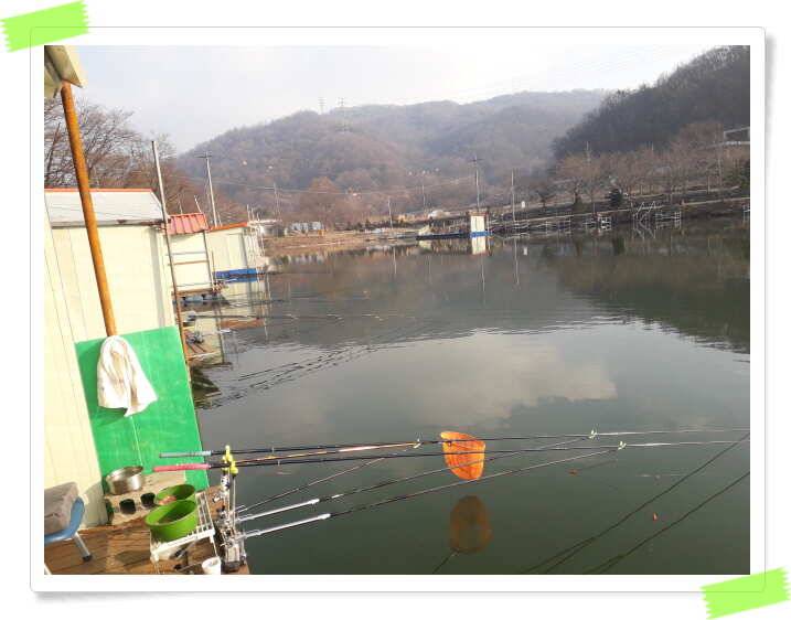 양평 수곡낚시터 주말 주중 조황 안내 (유료터정보 - 유료터점주조황)