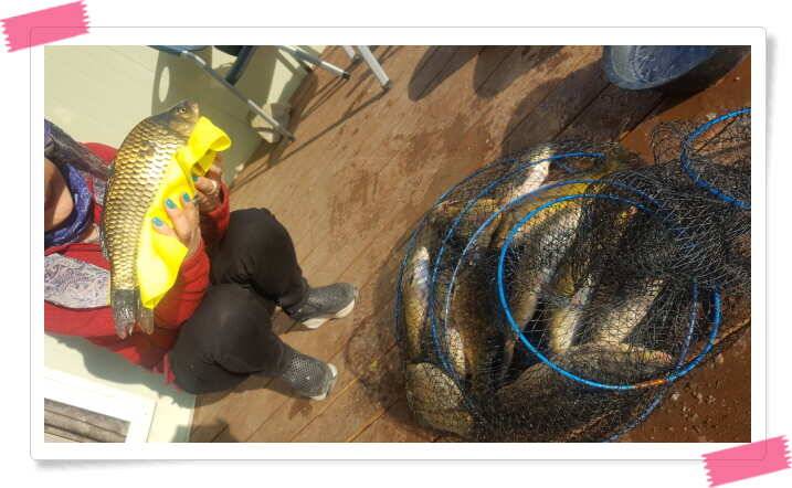 fish_pay_ca4b2_121727_71769.jpg