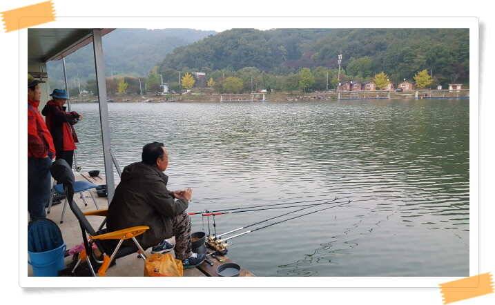 양평 수곡낚시터 주중조황및 핫팩증정 안내 (유료터정보 - 유료터점주조황)