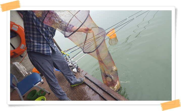 fish_pay_e479b_121021_32340.jpg
