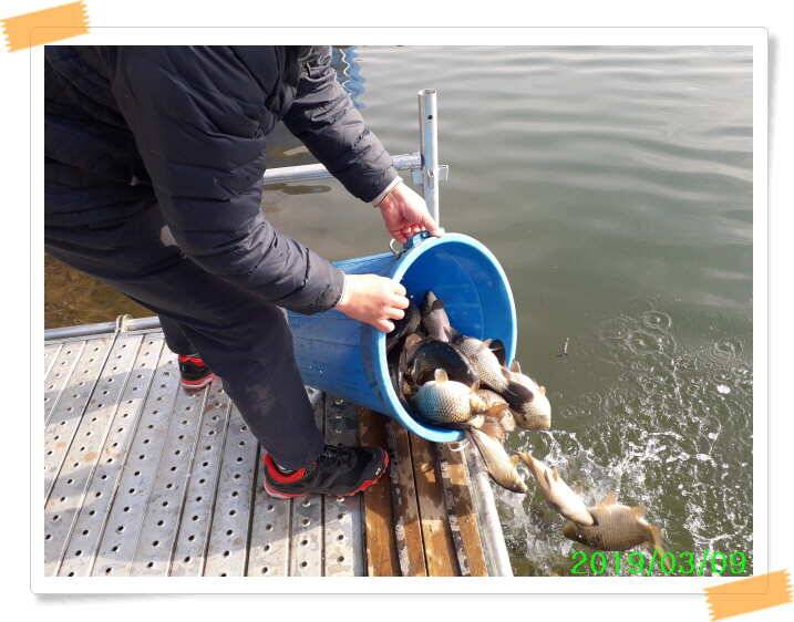 수곡낚시터 주중 붕어조황 좋으며 노지 포인트 조황도 조황도 좋습니다 (유료터정보 - 유료터점주조황)