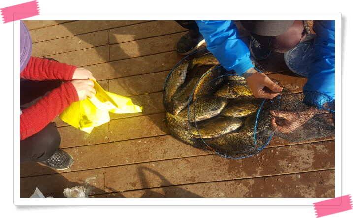 fish_pay_ff4bf_121720_85173.jpg