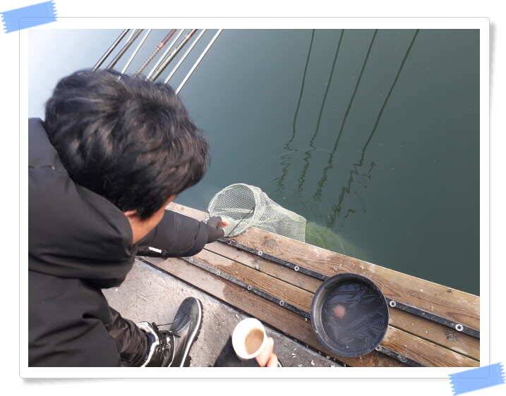양평수곡낚시터 입어료 무료 쿠폰제 실시 및 주말주중후반 조황 (유료터정보 - 유료터점주조황)