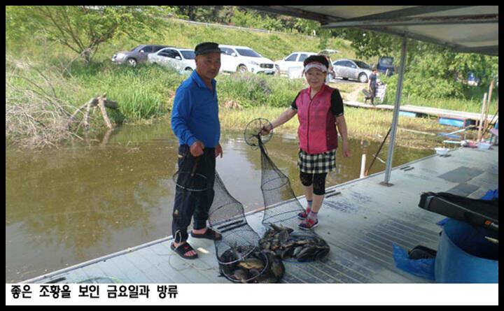 아산죽산지525일 좋은 조황을 보인 금요일과 방류 (유료터정보 - 유료터점주조황)