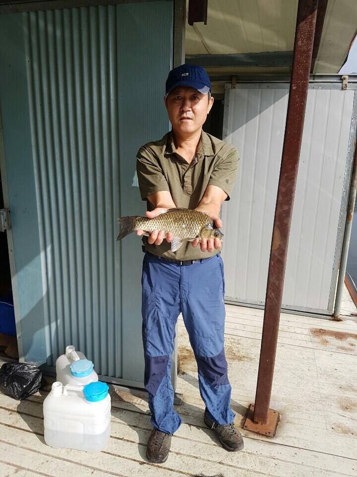 아산 안골지 조황정보 입니다 (유료터정보 - 유료터점주조황)