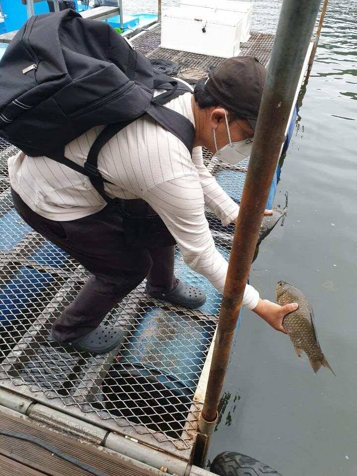 고삼지 물골자리 포인트 대박 예보 (유료터정보 - 유료터점주조황)