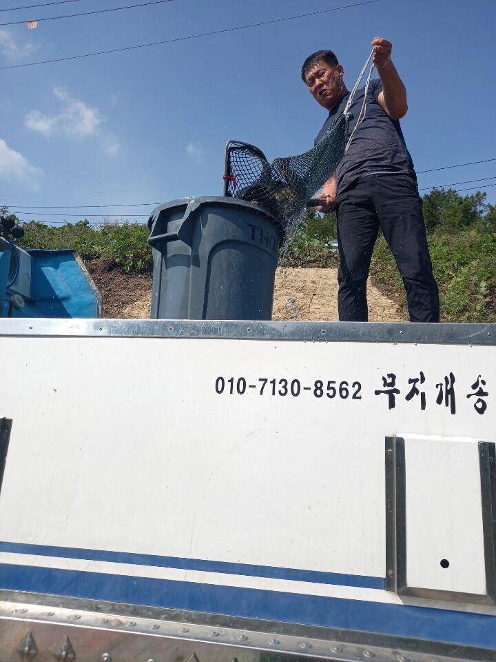 102 일 경주 삼괴정낚시터 조황상황 및 붕어방류입니다 (유료터정보 - 유료터점주조황)