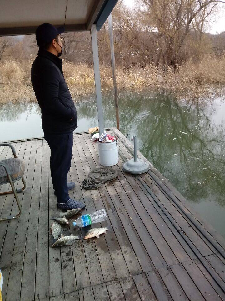 예당저수지 대양좌대 2020년 11월 2829일 금일조황 (유료터정보 - 유료터점주조황)