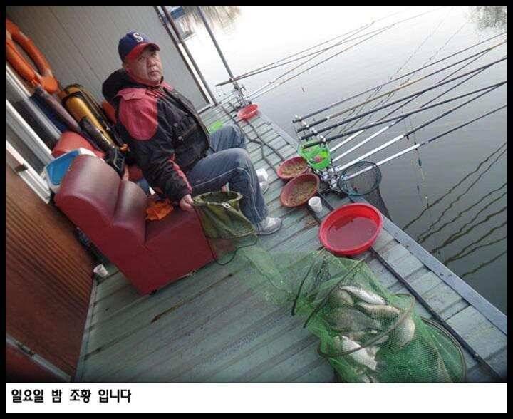 아산죽산지48일 일요일 수초권 밤 조황 입니다 (유료터정보 - 유료터점주조황)
