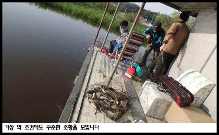 아산죽산지528일 기상 악 조건에도 꾸준한 조황 (유료터정보 - 유료터점주조황)