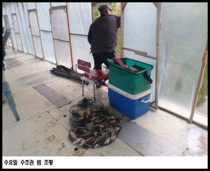 아산죽산지425일 수요일 수초권 밤 조황 입니다 (유료터정보 - 유료터점주조황)