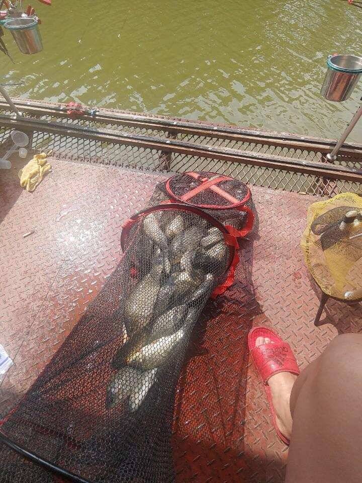 신나는 폭풍입질 즐거운 휴가에도 통삼으로 고고씽 (유료터정보 - 유료터점주조황)