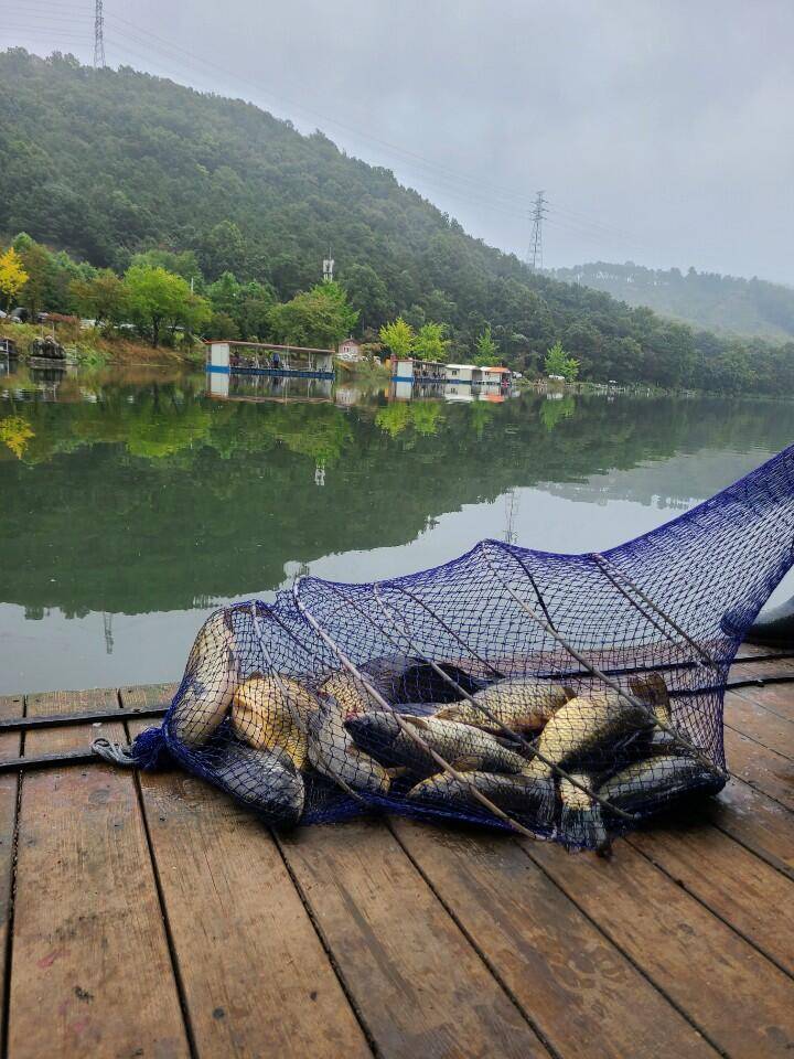 추석 연휴 양평 수곡낚시터 조황 및 붕어 대량 방류 (유료터정보 - 유료터점주조황)