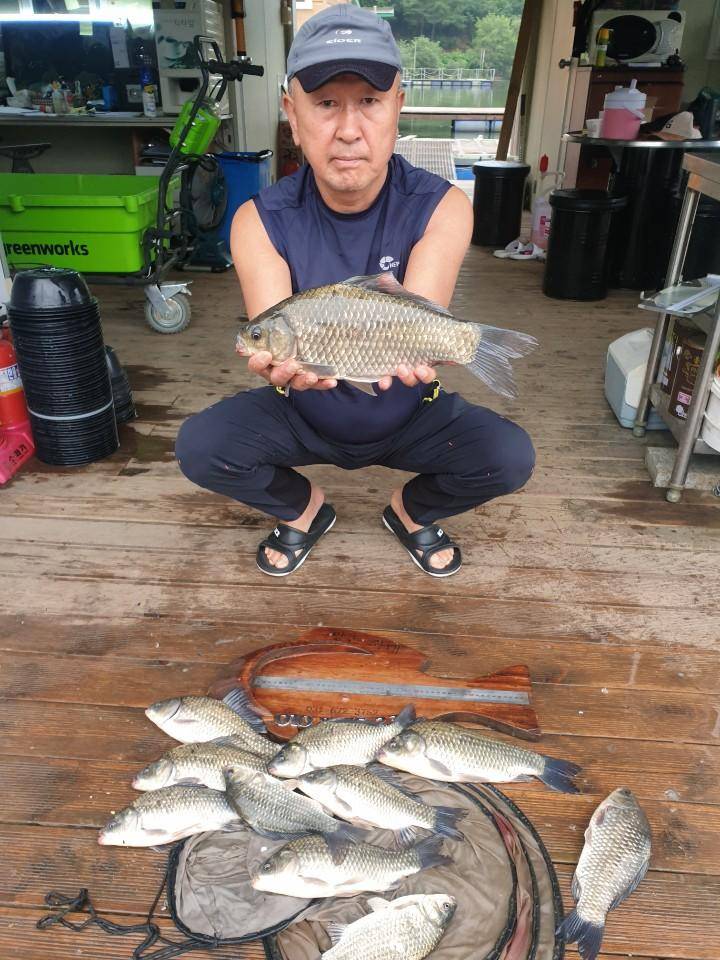 고삼지 연일 사짜붕어 상면중 (유료터정보 - 유료터점주조황)