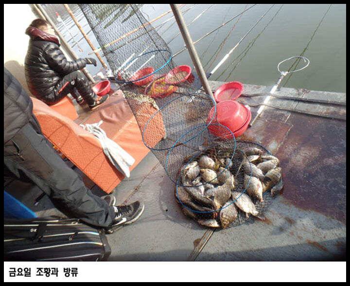 아산죽산지413일 금요일 조황과 방류 (유료터정보 - 유료터점주조황)