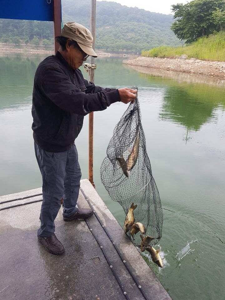 공주 고성낚시터 입니다 (유료터정보 - 유료터점주조황)