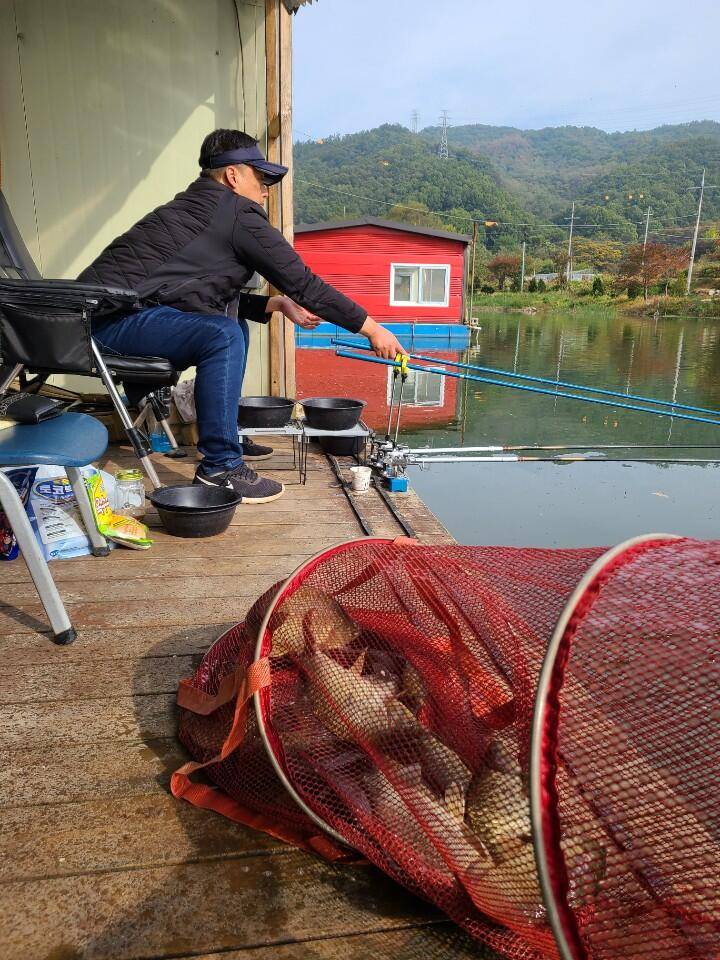 어제 월요일 출조 양평 수곡낚시터 호조황 및 고른 조황입니다 (유료터정보 - 유료터점주조황)