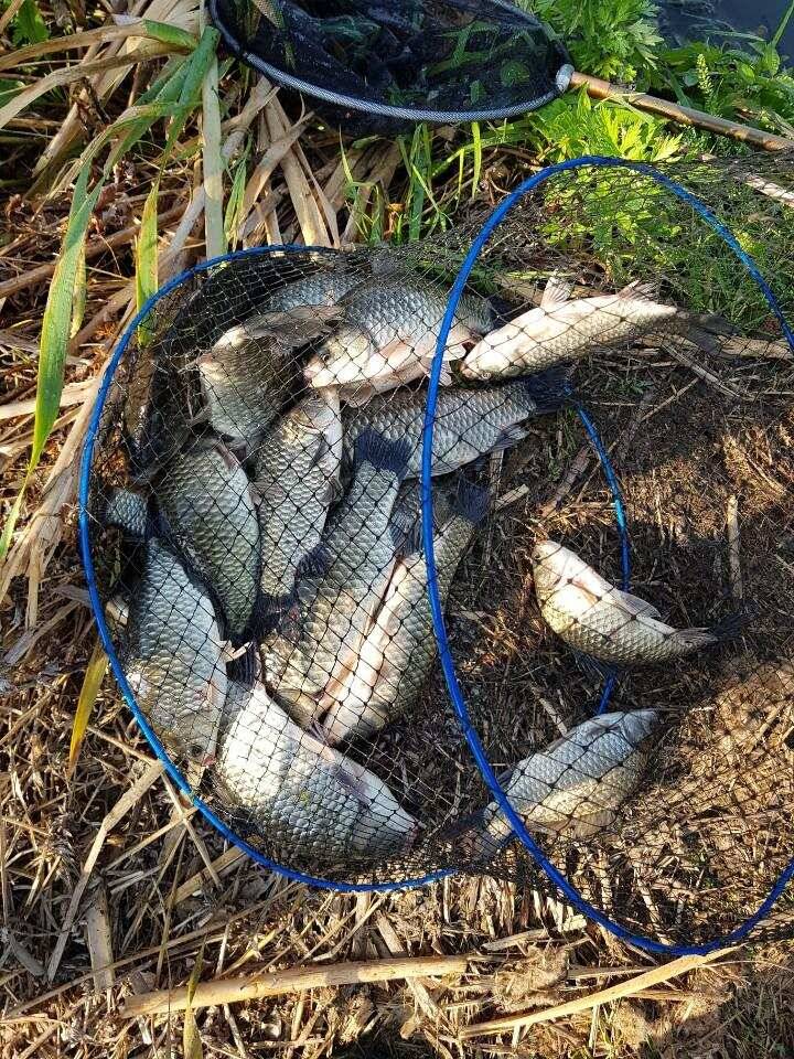 ◎ 매주 4짜와 대박어망 행진◎ (유료터정보 - 유료터점주조황)