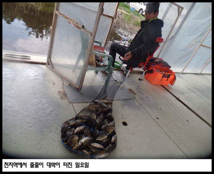 아산죽산지429일 전지역에서 줄줄이 대박이 터진 일요일 (유료터정보 - 유료터점주조황)