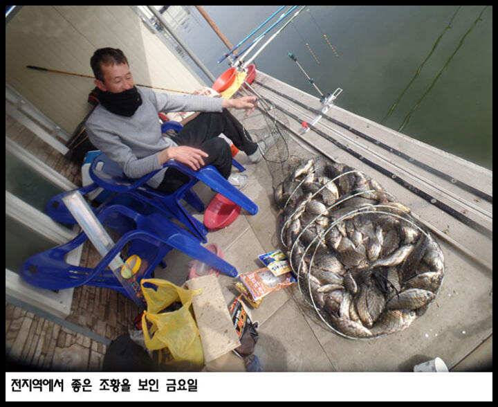 아산죽산지420일 전지역에서 좋은 조황을 보인 금요일 (유료터정보 - 유료터점주조황)
