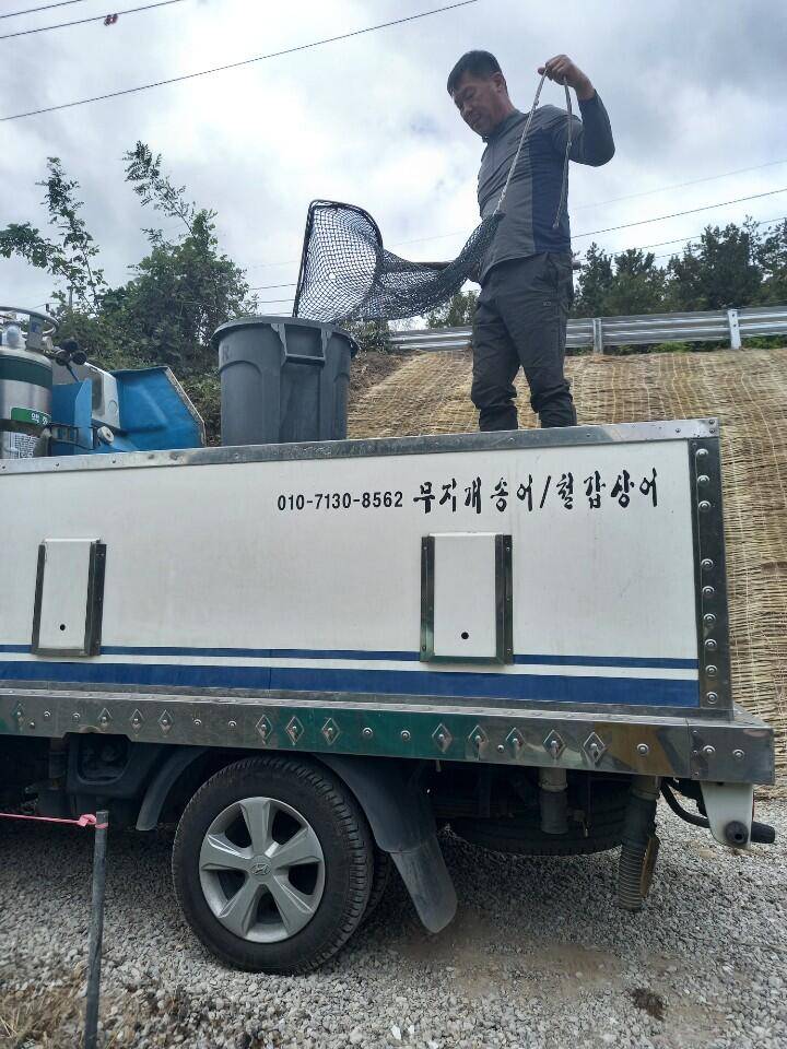 경주 삼괴정낚시터 1016일 조황상황 및 붕어방류 (유료터정보 - 유료터점주조황)