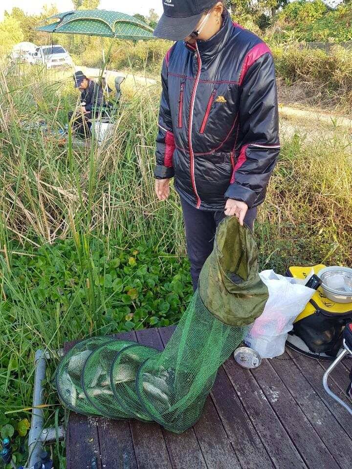 ♥ 토종 42 cm ♥ (유료터정보 - 유료터점주조황)