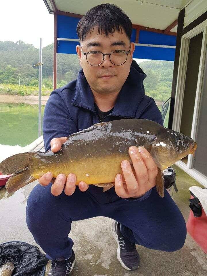 공주 고성낚시터 입니다 (유료터정보 - 유료터점주조황)