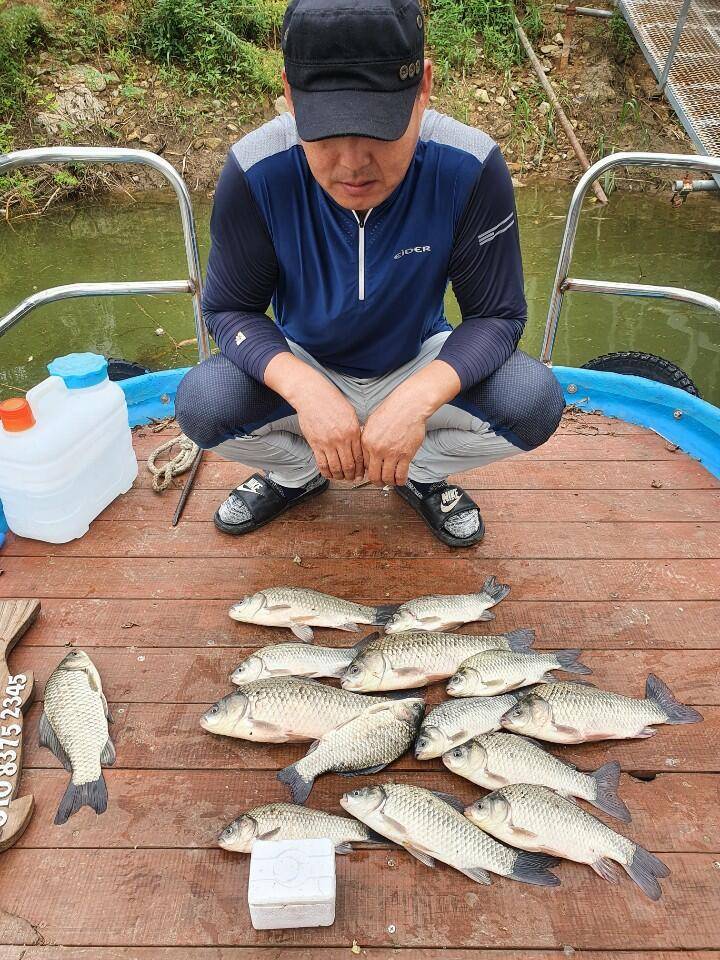 양촌좌대 상류권 사짜붕어 소식입니다 (유료터정보 - 유료터점주조황)