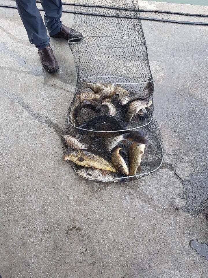공주 고성낚시터 입니다 (유료터정보 - 유료터점주조황)