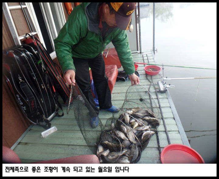 아산죽산지430일 밤 조황 굿 입니다 (유료터정보 - 유료터점주조황)
