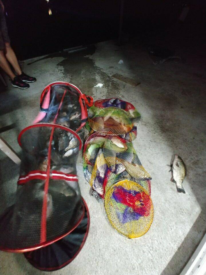 반제지 붕어대박조황 (유료터정보 - 유료터점주조황)