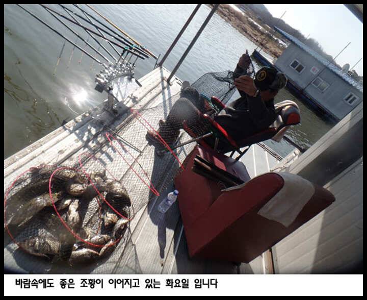 아산죽산지43일 바람속에도 꾸준한 조황을 보인 화요일 입니다 (유료터정보 - 유료터점주조황)