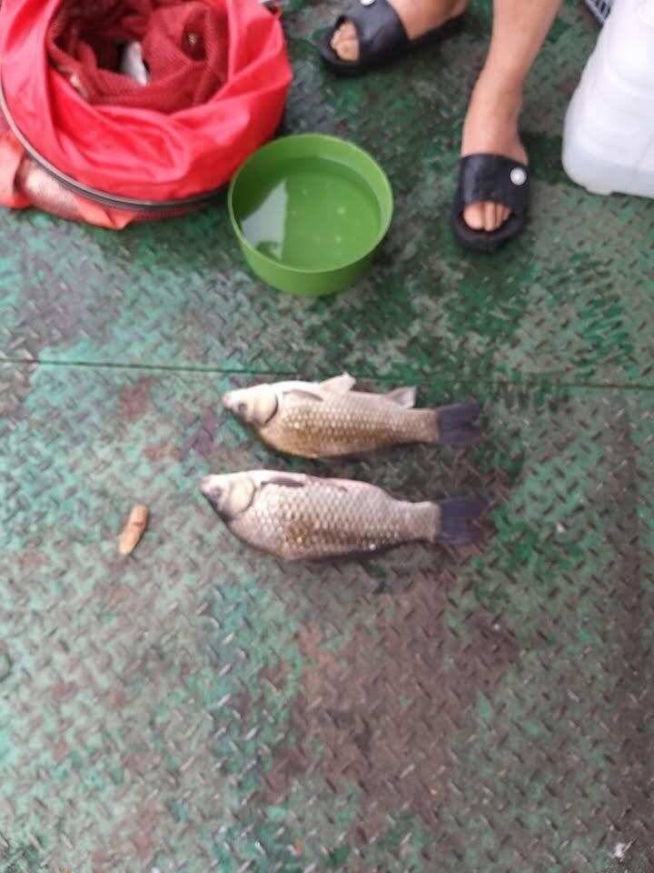 아산 안골지 4짜 소식입니다 (유료터정보 - 유료터점주조황)