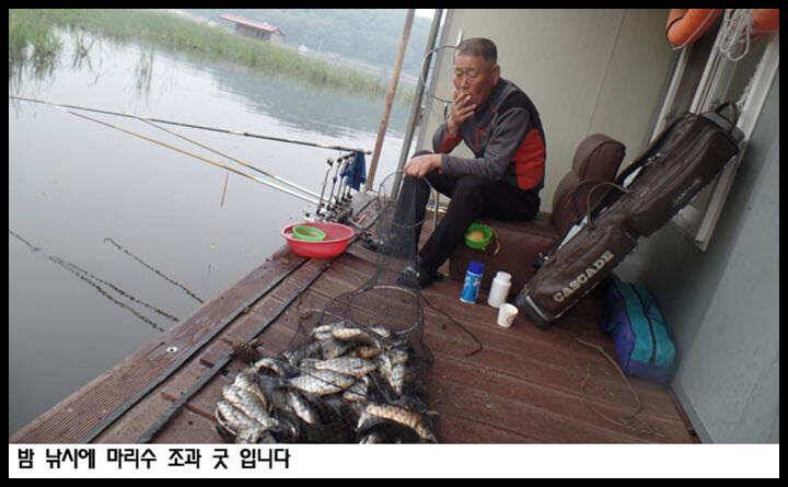 아산죽산지515일 밤 낚시 조황굿 입니다 (유료터정보 - 유료터점주조황)