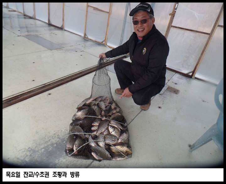 아산죽산지322일 목요일 잔교수초권 조황과 방류 (유료터정보 - 유료터점주조황)