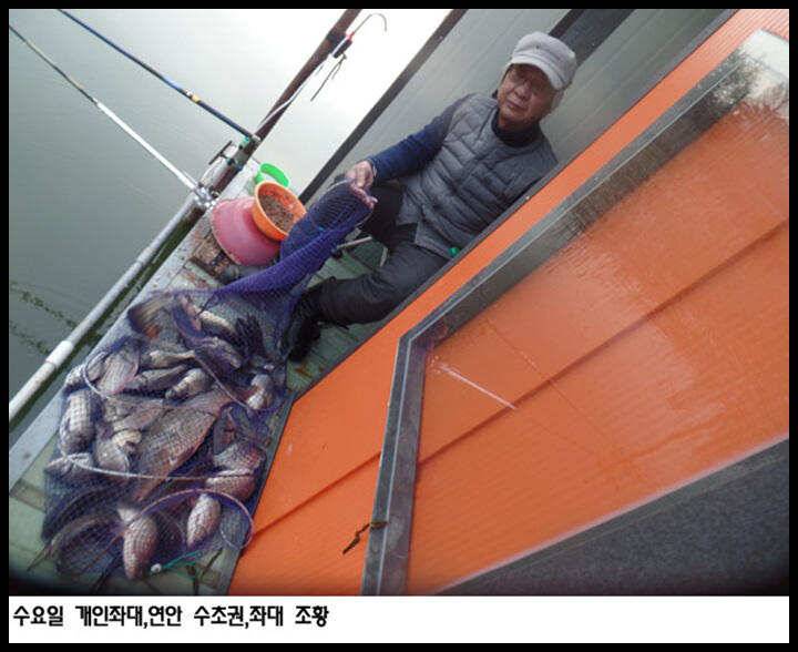 아산죽산지418일 수요일 개인좌대연안 수초권좌대 조황 (유료터정보 - 유료터점주조황)