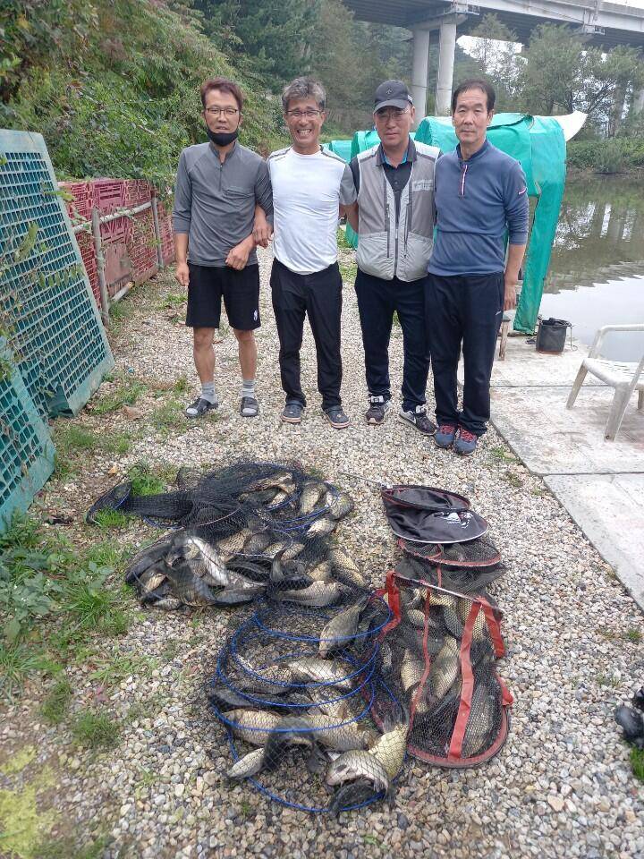 경주 삼괴정낚시터 109일 조황상황 및 회원분들 붕어자랑 (유료터정보 - 유료터점주조황)